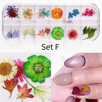 Botanical Beauty Nail Art Set with Dried Floral Accents and Sparkling Rhinestones