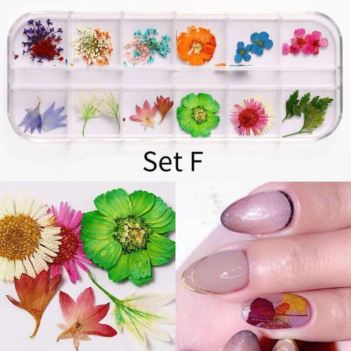 Botanical Blossom Nail Art Kit with Real Flower Petals and Sparkling 3D Gems
