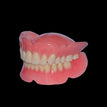 3 Denture Set (Random color) / No / Premium Customize (Pre-order Only)