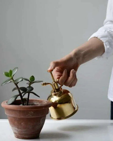 Elegant Brass Succulent Mister Set - Sleek Mini Watering Can with Polished Finish