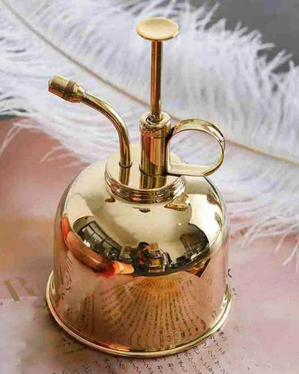 Elegant Brass Succulent Mister Set - Sleek Mini Watering Can with Polished Finish