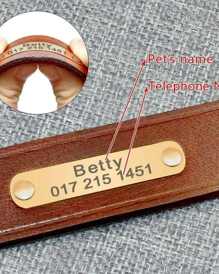 Custom Engraved Leather Dog Collar for Small to Medium Breeds - Personalized with Name and Contact Information