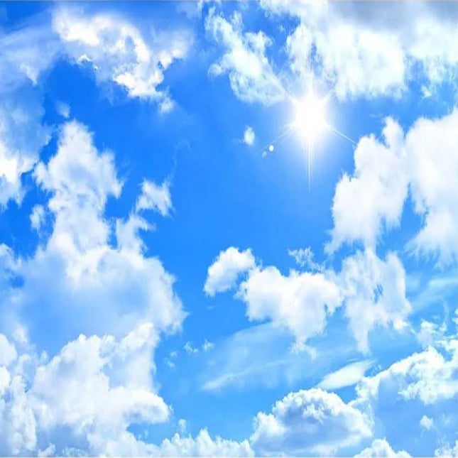 Homeby 3D Blue Sky & White Clouds Wallpaper Mural for Ceiling Decor