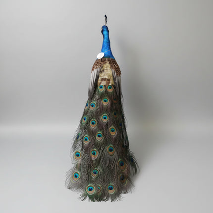 Colorful Peacock Model — Foam & Feather — 80cm