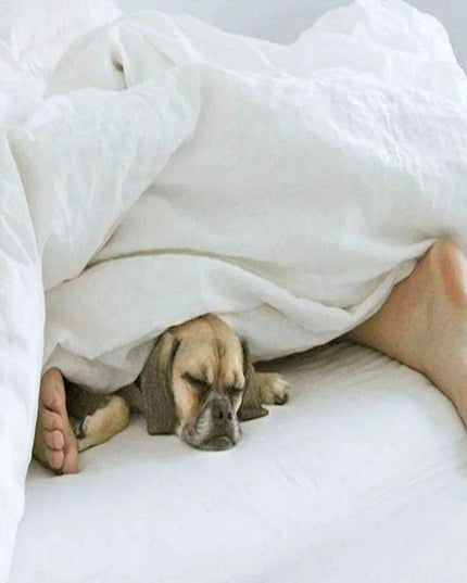 Ruffled White Washed Linen Duvet Cover - Luxurious French Flax Bedding for Queen and King Size Beds