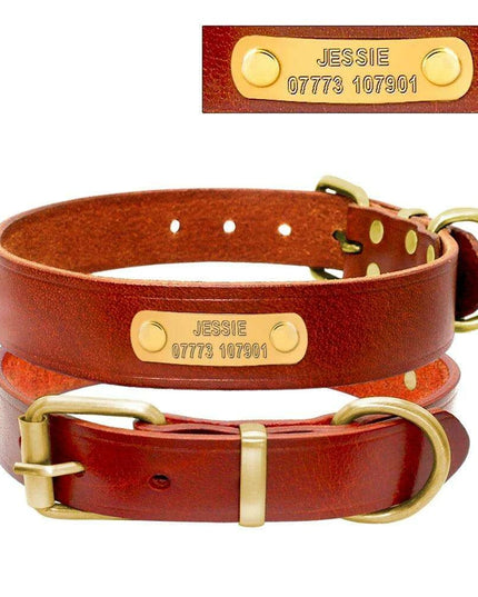 Custom Engraved Leather Dog Collar for Small to Medium Breeds - Personalized with Name and Contact Information