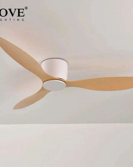 Modern Black and White Remote-Controlled Low Profile Ceiling Fan - 30W DC Motor - No Light - Sleek Design - 220V