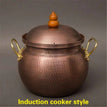 5L-for induction C