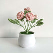 Pink Rose
