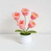 5 heads pink