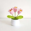 3 heads pink