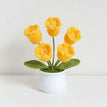 5 heads yellow