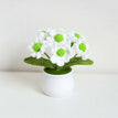 Little Daisy White Flower Gree