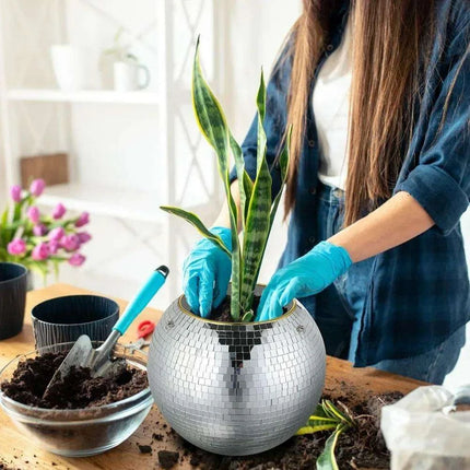 Hanging Mirror Disco Ball Planters Trio - Très Elite