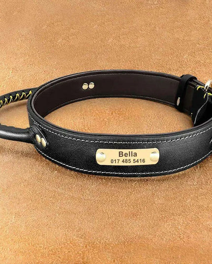 Custom Engraved Premium Leather Dog Collar with Control Handle for Medium to Large Breeds