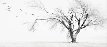 Tranquil Tropical Oasis 3D Wall Mural - Custom Sizes Available