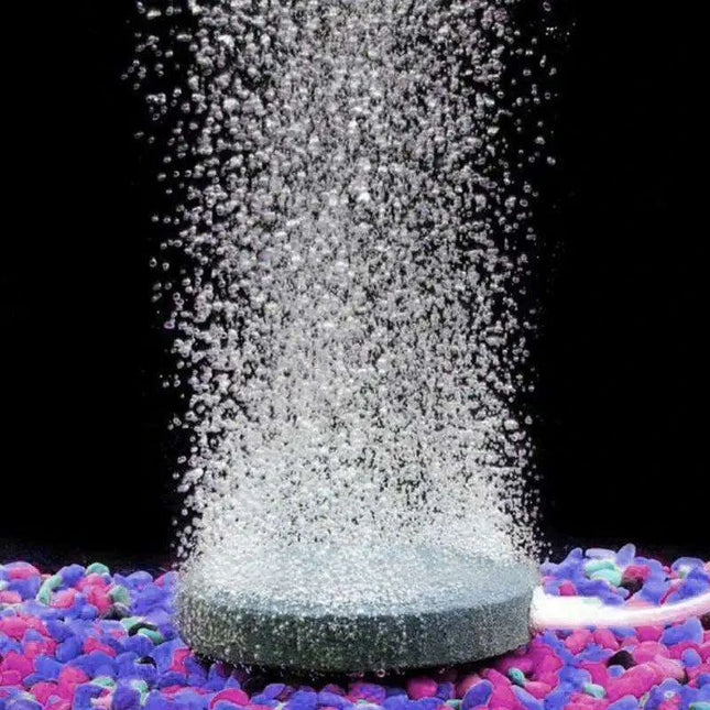 Aquarium Air Pump Oxygen Diffuser Disk - Bubble Stone for Fish Tank & Pond (4/6/8cm)