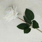 white rose