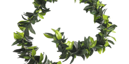 Wholesale 50PCS/lot Aritificial Maile Lei 180CM Hawaii Hula Dance Tropical Island Party Wedding Summer Beach Graduation Leis wholesale-50pcs-lot-aritificial-maile-lei-180cm-hawaii-hula-dance-tropical-island-party-wedding-summer-beach-graduation-leis