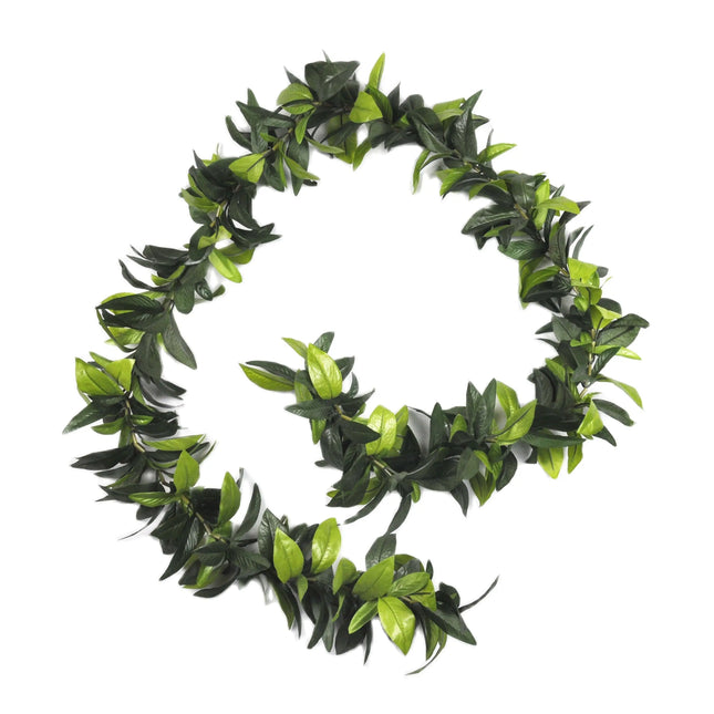 Hula Girl Store 50PCS Artificial 180CM Leis for Summer Beach Parties