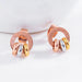 Chic Rose Gold Stainless Steel Stud Earrings with Roman Numeral Design - A Timeless Gift for Her