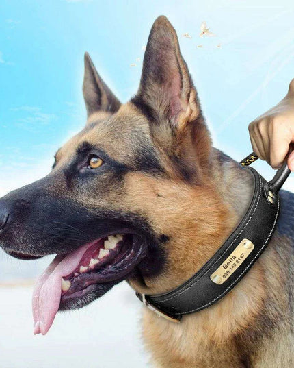 Custom Engraved Premium Leather Dog Collar with Control Handle for Medium to Large Breeds