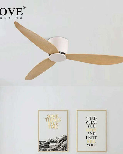 Modern Black and White Remote-Controlled Low Profile Ceiling Fan - 30W DC Motor - No Light - Sleek Design - 220V