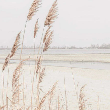 Tranquil Vintage Pampas Grass Wall Art for a Calm Home Sanctuary