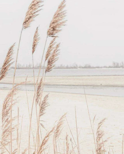 Tranquil Vintage Pampas Grass Wall Art for a Calm Home Sanctuary