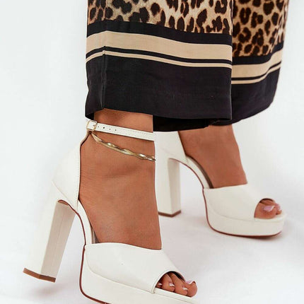 Heel sandals model 209893