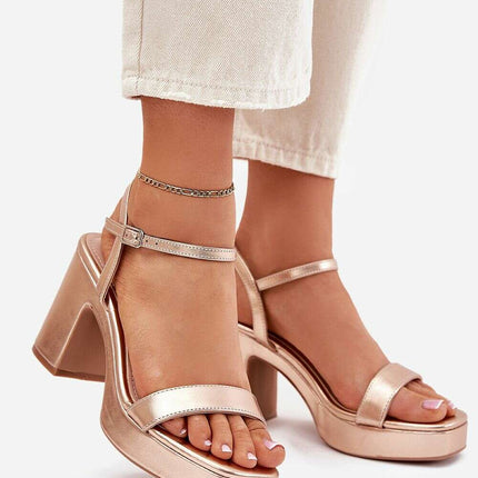 Heel sandals model 214092