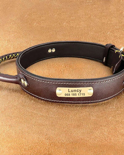 Custom Engraved Premium Leather Dog Collar with Control Handle for Medium to Large Breeds