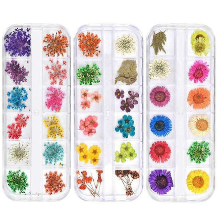 Botanical Beauty Nail Art Set with Dried Floral Accents and Sparkling Rhinestones