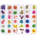 Nature's Elegance Nail Art Set with Real Dried Flowers and 3D Rhinestones