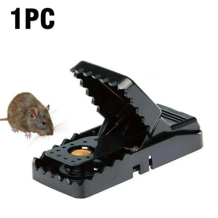 Humane and Eco-Conscious Live Mouse Capture Solution..