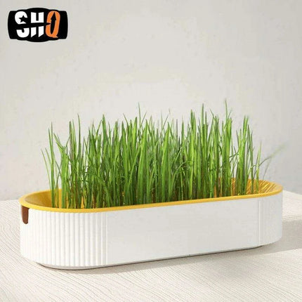 Indoor Hydroponic Cat Grass Kit - Grow Fresh, Nutritious Treats for Your Feline Friend - Très Elite