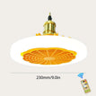 Orange / CHINA