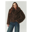 brown / one-size-fits-all