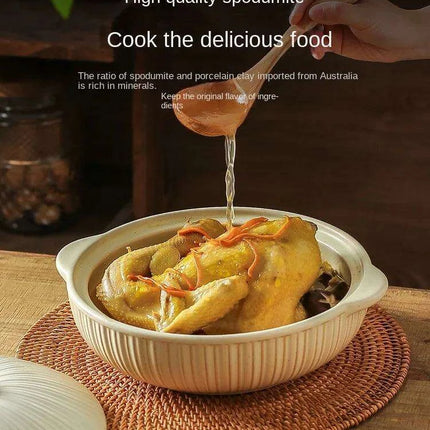 Japanese Ceramic Double Handle Stew Pot for Authentic Gas Stove Cooking - Très Elite