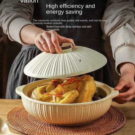 Japanese Ceramic Double Handle Stew Pot for Authentic Gas Stove Cooking - Très Elite