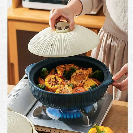 Japanese Ceramic Double Handle Stew Pot for Authentic Gas Stove Cooking - Très Elite