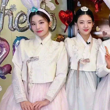 Korean Traditional Hanbok Vest for Women - Très Elite