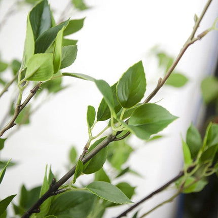 Lifelike Spring Oasis Artificial Greenery Branches - Available in 39.4" and 47.2" Lengths - Très Elite
