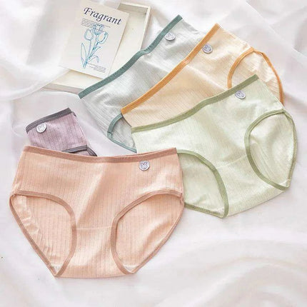 Luxe Lace Cotton Briefs Set - 5-Pack Women's Breathable Underwear in M-2XL Sizes - Très Elite