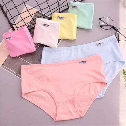 Luxe Lace Cotton Briefs Set - 5-Pack Women's Breathable Underwear in M-2XL Sizes - Très Elite
