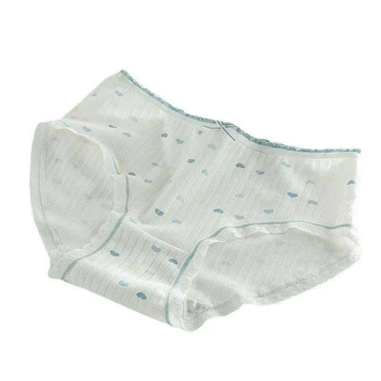 Luxe Lace Cotton Briefs Set - 5-Pack Women's Breathable Underwear in M-2XL Sizes - Très Elite