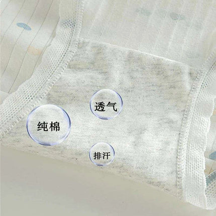 Luxe Lace Cotton Briefs Set - 5-Pack Women's Breathable Underwear in M-2XL Sizes - Très Elite