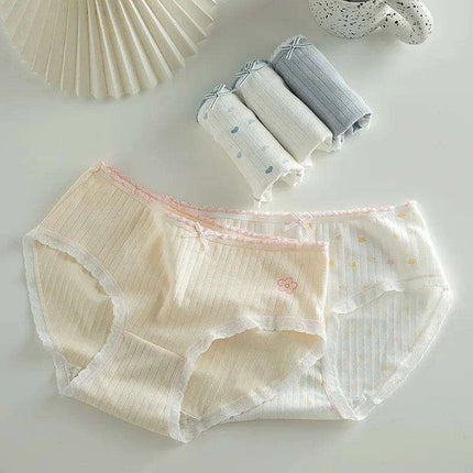 Luxe Lace Cotton Briefs Set - 5-Pack Women's Breathable Underwear in M-2XL Sizes - Très Elite