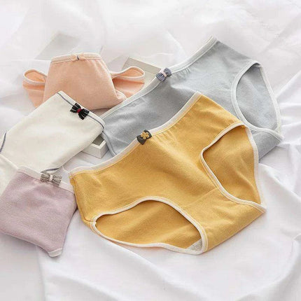 Luxe Lace Seamless Cotton Briefs for Women - 5-Pack - Très Elite