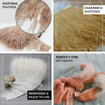 Luxe Ostrich Feather Trim for Exquisite Crafting and Design - Très Elite